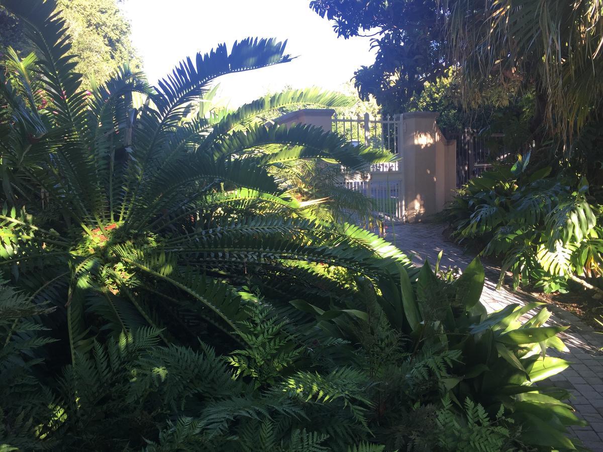 Constantia Valley Lodge Cape Town Dış mekan fotoğraf