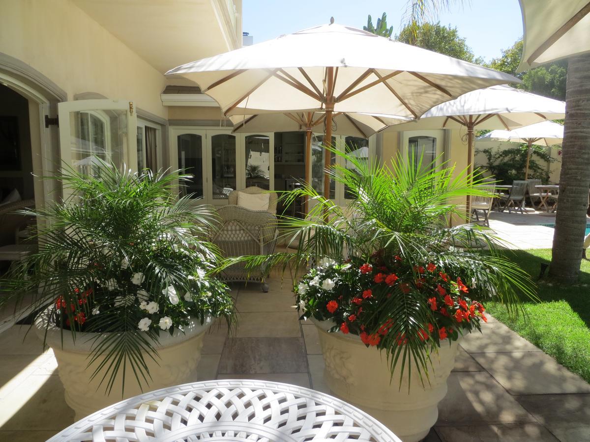 Constantia Valley Lodge Cape Town Dış mekan fotoğraf